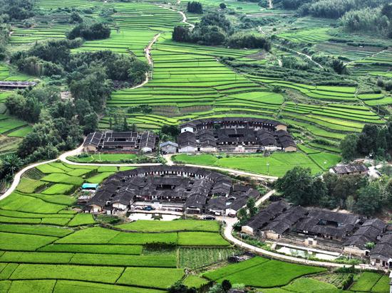 Ancient houses nestle among rice fields