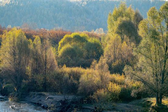 Fairy-tale autumn scenery in Ergun, Inner Mongolia