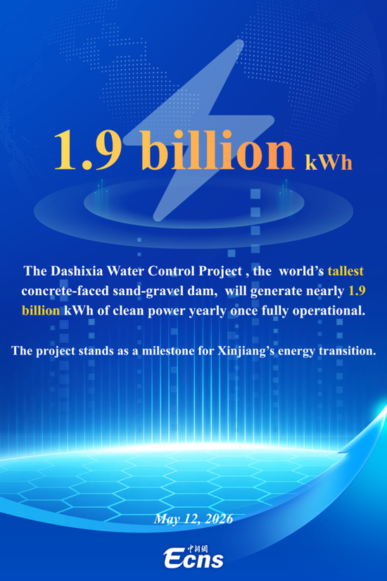Dashixia Water Control project aids Xinjiang's energy goals