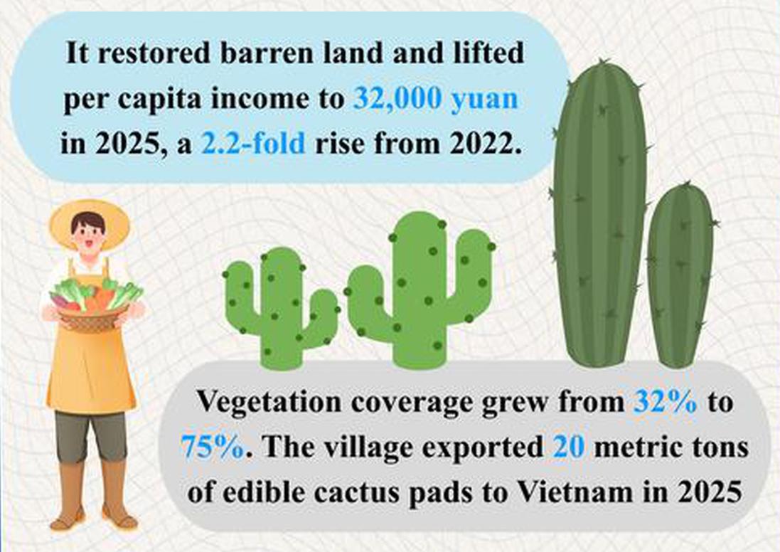 Yunnan village benefits from cactus industry
