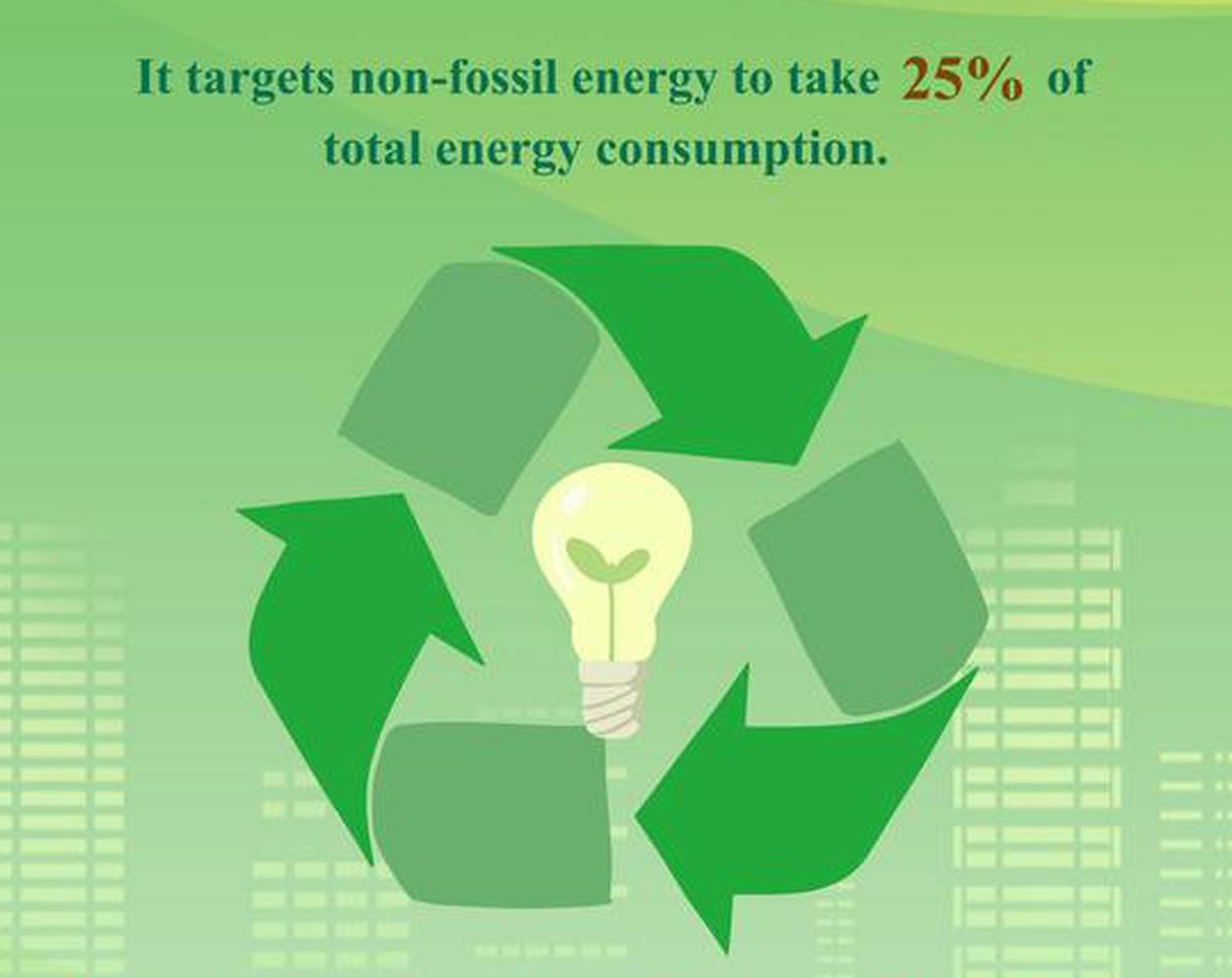 China targets low-carbon new energy system by 2030