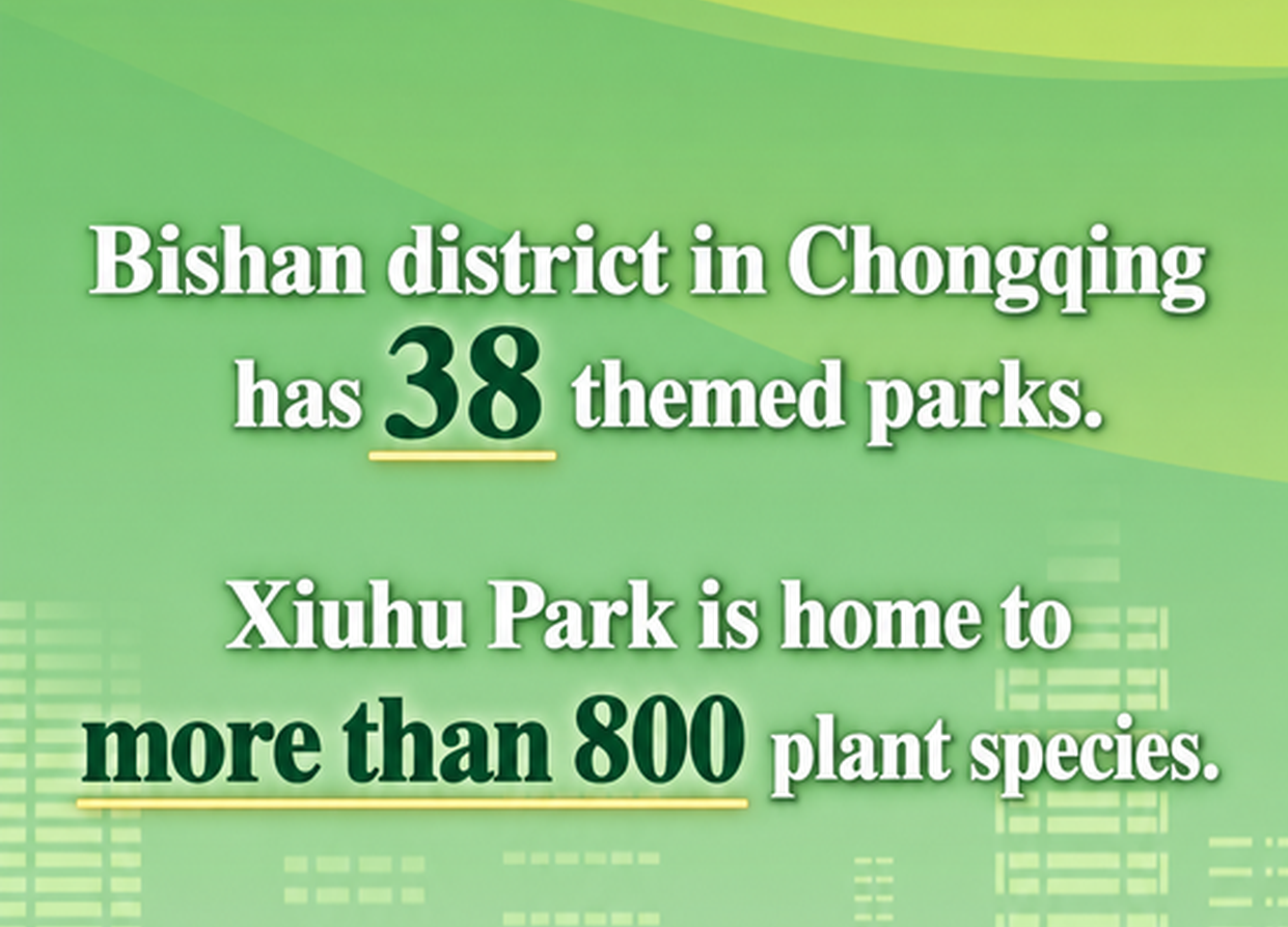 Bishan District in Chongqing boasts 30 theme parks