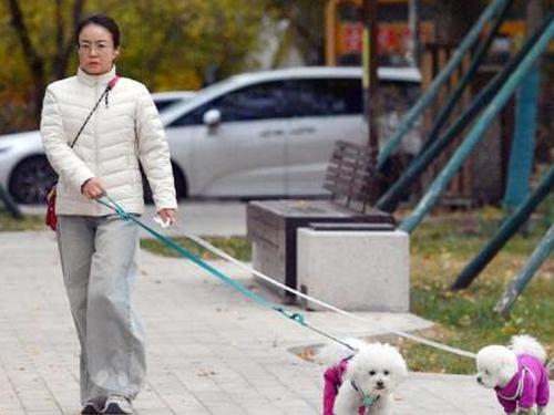 Temperatures set to plunge across northern China