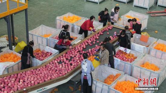 Central Asia trade booms for Gansu as Kazakhstan becomes its top trading partner