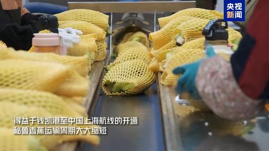 Chancay-Shanghai route speeds delivery of Peruvian fruit to China