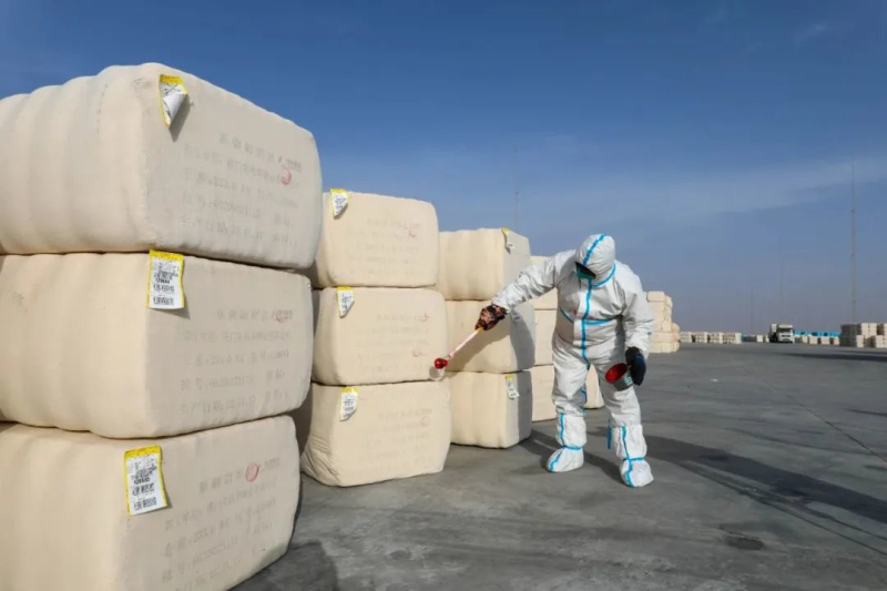 11月22日，在巴州尉棉铁路物流产业有限公司棉花监管库内，工作人员正在为入库棉包加盖入库公章。 王雪 摄