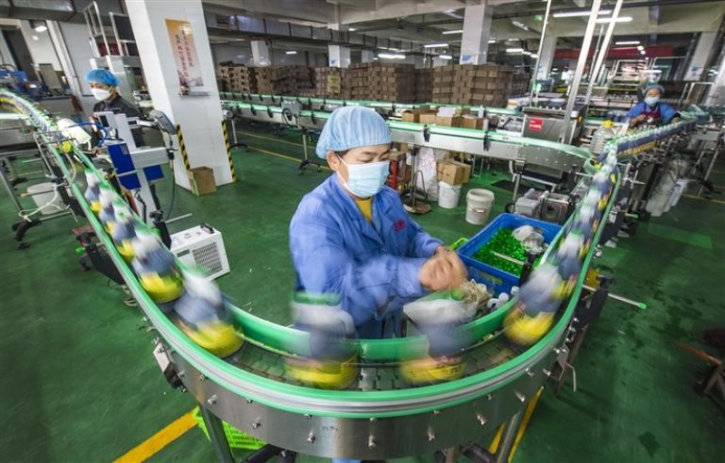 昌吉市大西渠鎮閩昌工業園新疆笑廚食品有限公司液體包裝車間，員工在生產線上作業。