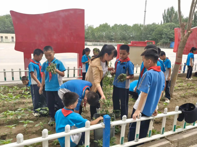 民族团结系列人物故事——周永平：用爱与职责铸牢中华民族共同体认识