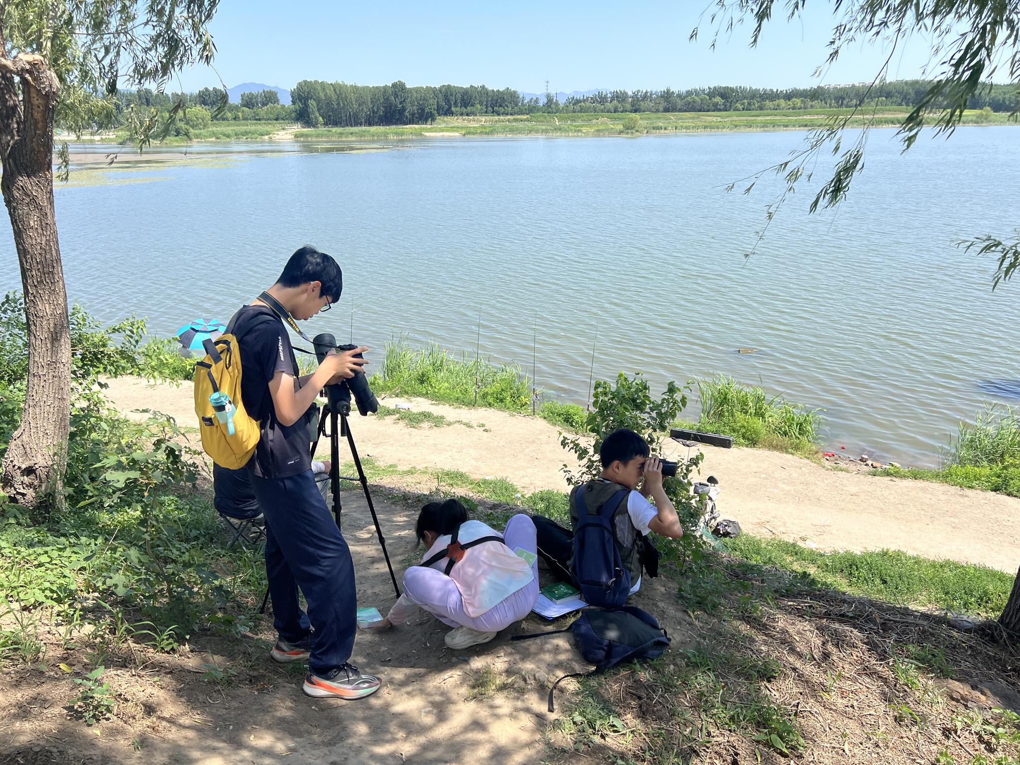 6月7日,第二届“鸟途杯”青少年观鸟赛在北京昌平举行,参赛学生在观察记录。比赛督导员 摄 6月7日,第二届“鸟途杯”青少年观鸟赛在北京昌平举行,参赛学生在观察记录。比赛督导员 摄