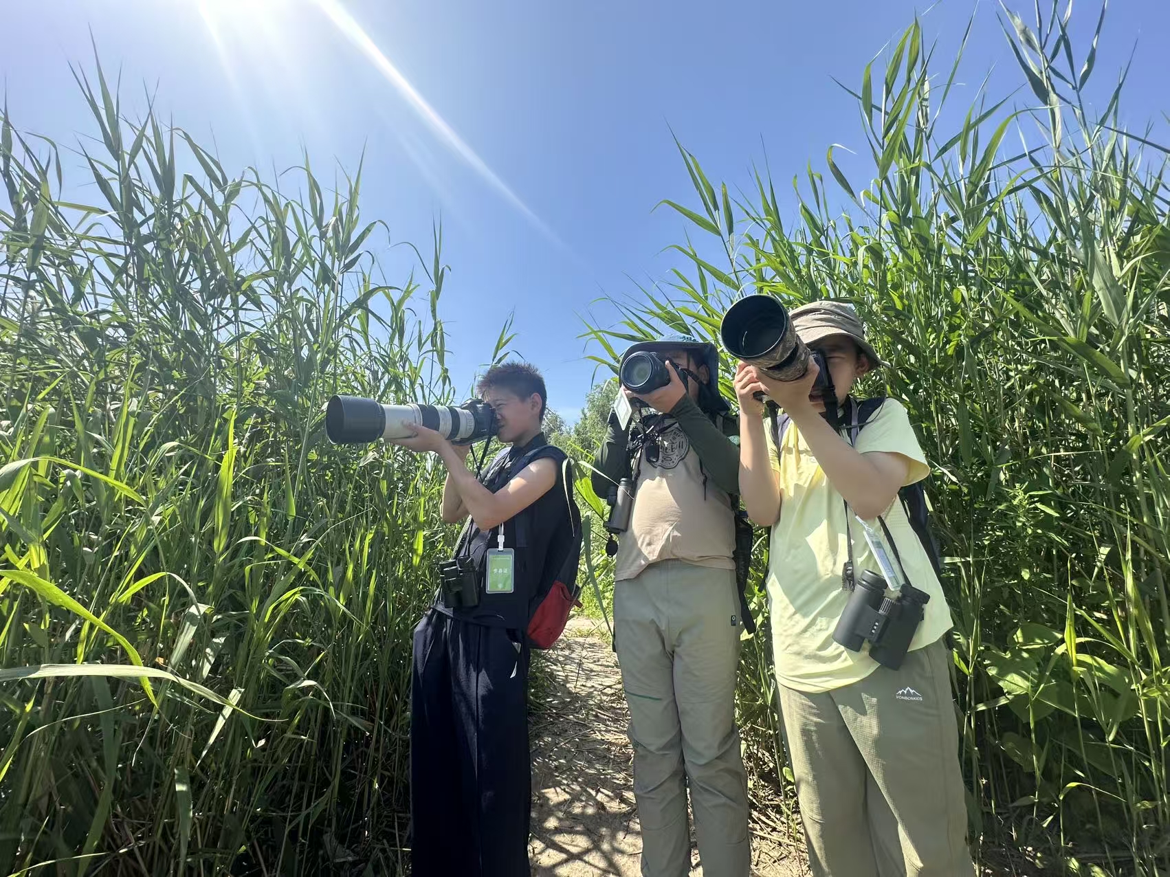 6月7日,第二届“鸟途杯”青少年观鸟赛在北京昌平举行,参赛学生在观察记录。比赛督导员 摄 6月7日,第二届“鸟途杯”青少年观鸟赛在北京昌平举行,参赛学生在观察记录。比赛督导员 摄