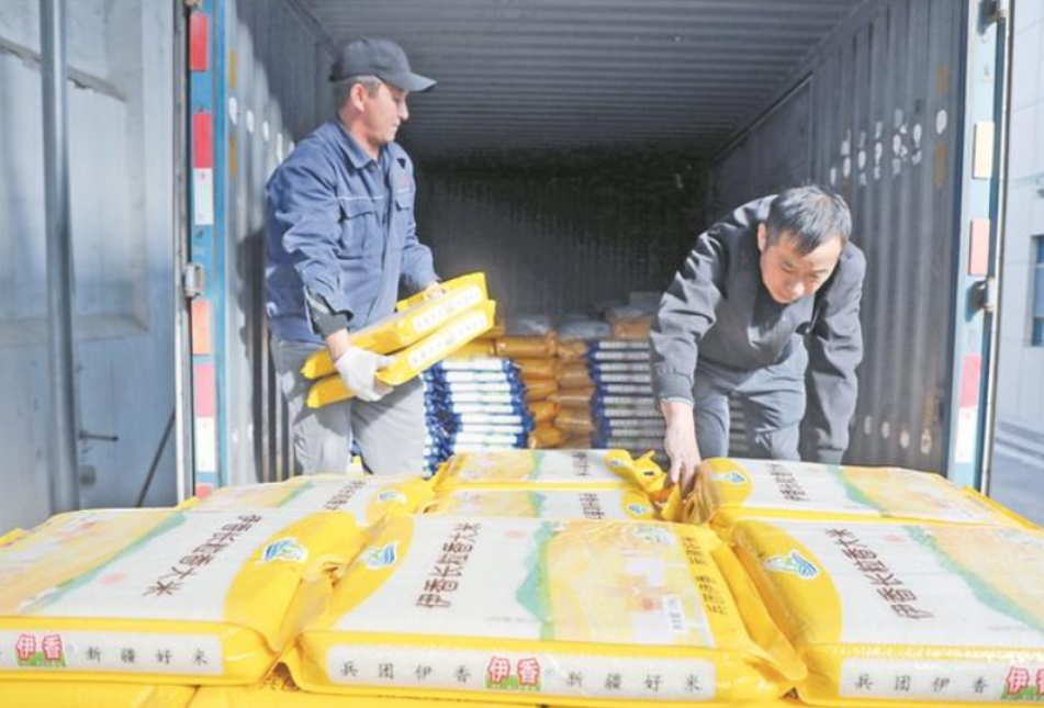 10月14日，在新疆创锦伊香米业有限责任公司，工作人员将大米产品装车，准备发往全疆各地。 兵团日报常驻记者 杨俊钦 摄