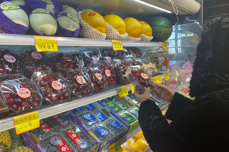 图为乌鲁木齐市民在水果商超挑选车厘子。 王丹 摄