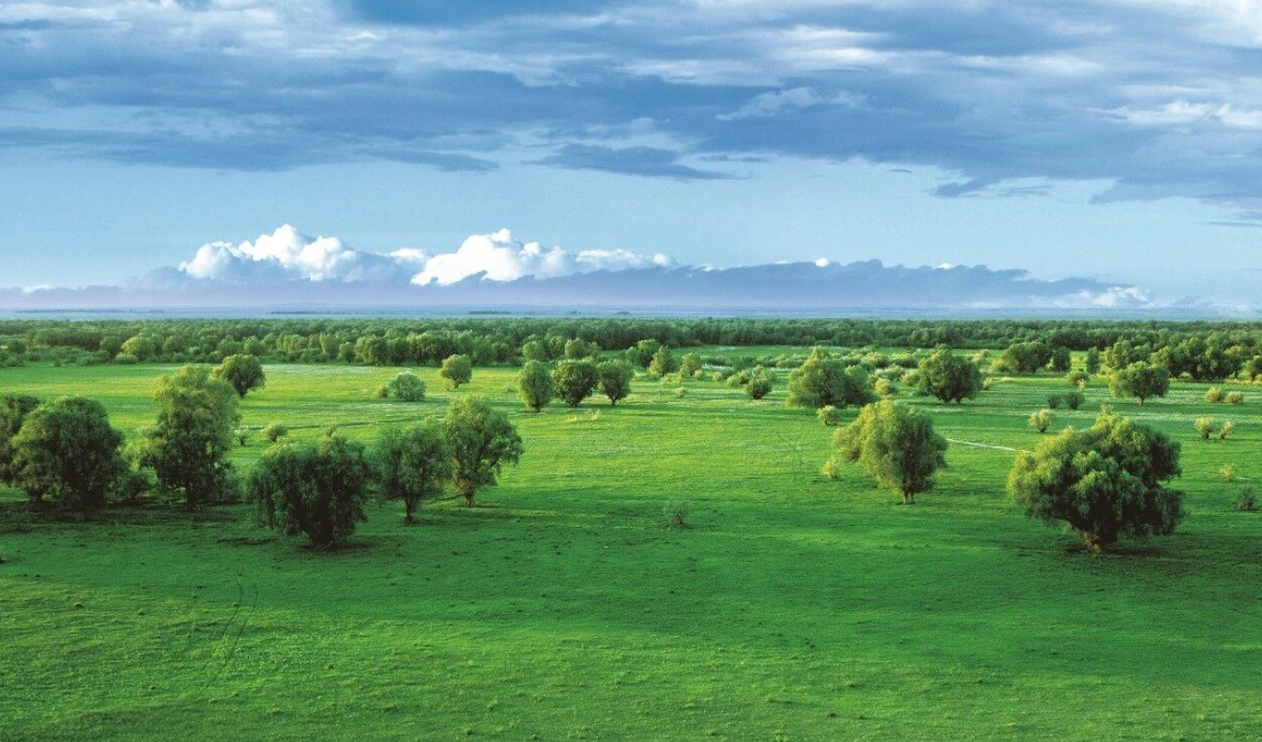 库鲁斯台草原风景如画。资料图片