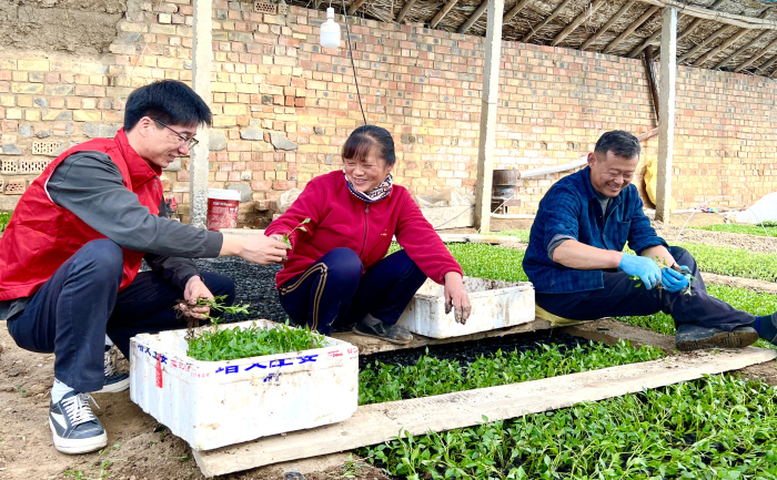 种植户忙碌场景。