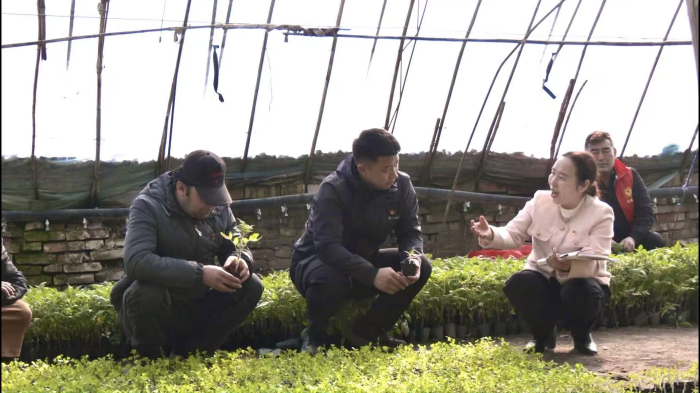 吴文秀来到精河县茫丁乡蔬菜大棚为农户宣讲两会好政策。