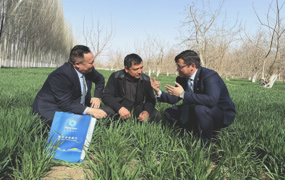 图为喀什中心支行客户经理在田间开展春耕资金需求调查。阿布都克热木·艾海提 摄