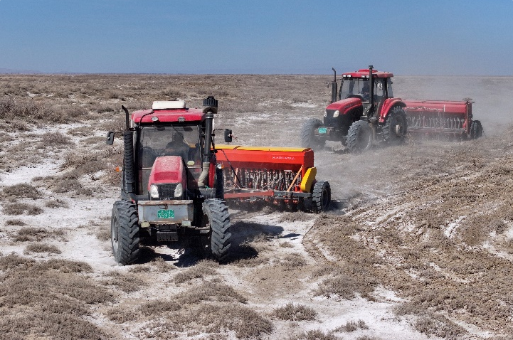 大型播種機(jī)設(shè)備播種現(xiàn)場(chǎng)。裕民縣融媒體中心供圖