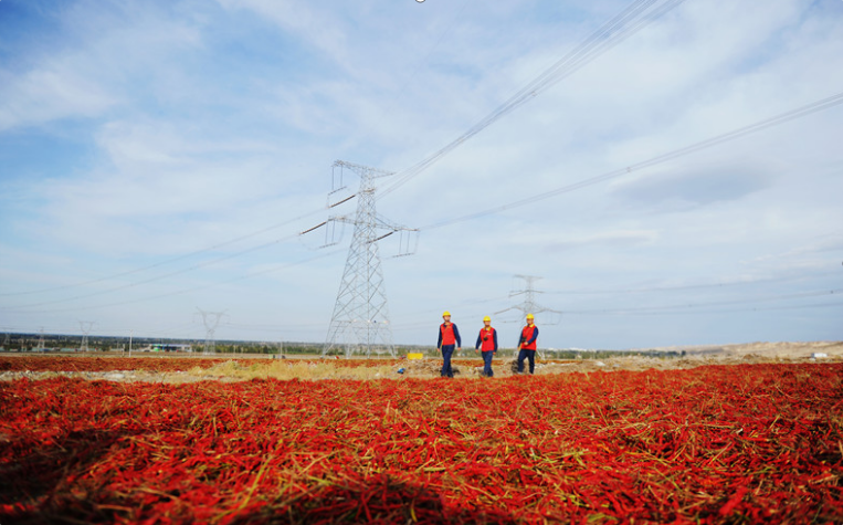 2023年9月22日，新疆塔城地区沙湾市安集海镇辣椒晾晒场，新疆送变电公司员工巡检伊犁—博州—乌苏—凤凰Ⅱ回750千伏输变电工程。马元 摄