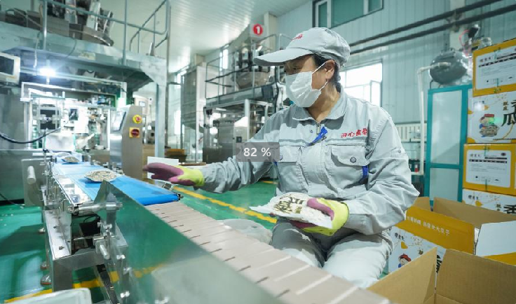 十师北屯市瓜子加工企业生产线上，工人们正在包装“傻老大”品牌瓜子。依托北纬47度黄金种植带优势，师市深耕瓜子全产业链，“北屯瓜子”出口30多个国家和地区。李正虎 摄
