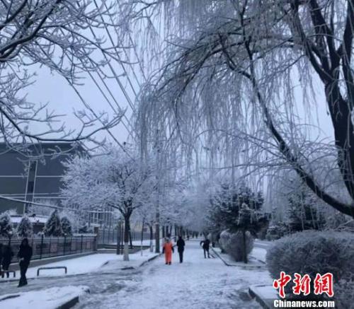 1月5日,甘肃武威市古浪县落雪后银装素裹。 钟欣 摄 点击进入下一页