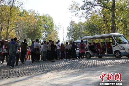 在白沙湖景区,游客排队乘坐区间车。 杨东东 摄