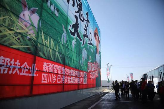 圖為與會代表到策勒縣幫幫兔農牧集團產業園參觀考察。(張欣拍攝)