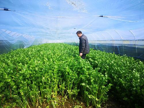 急事急办 不误农时助春耕