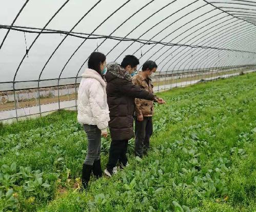 金融“春雨”润“三农” 邮储银行多措助力春耕备耕
