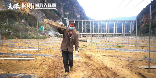 望谟县边绕镇百香果种植地正在扩种