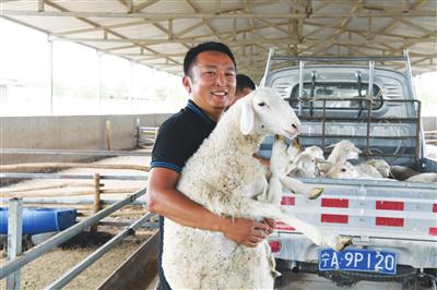 　　肉羊养殖助力村民们脱贫致富，前来购买肉羊的客商络绎不绝。