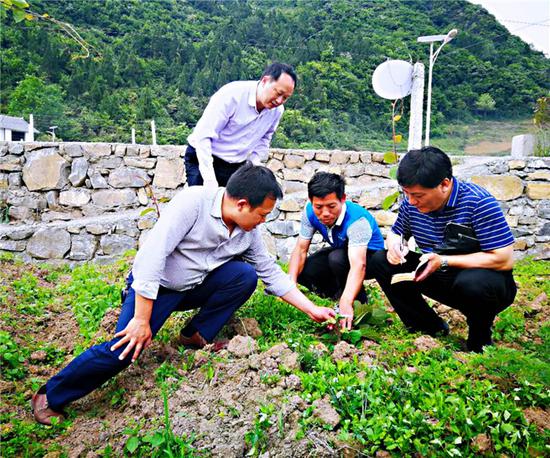高坪镇有多少人口_隆回县高坪镇(3)