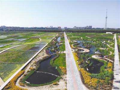 <p>　　人工湿地美景如画。（资料图片）</p>