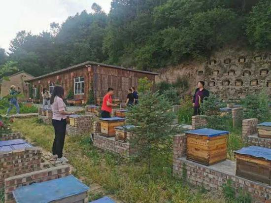 王丁向的“半山蜜园”蜂场里，游客在参观蜂箱。新华社记者　谢建雯　摄