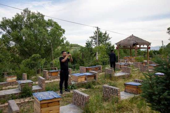王丁向的“半山蜜园”蜂场里，游客在拍照。新华社记者　黎广滔　摄