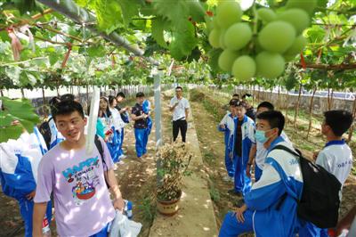 银川唐中学生在贺兰参加劳动研学活动。受访者供图