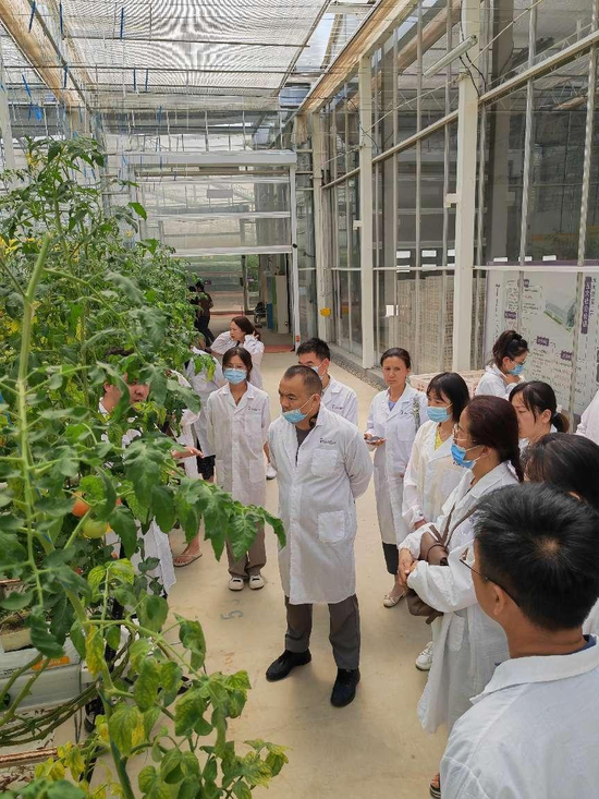 參觀國家級設施農業基地水木高效番茄種植工廠