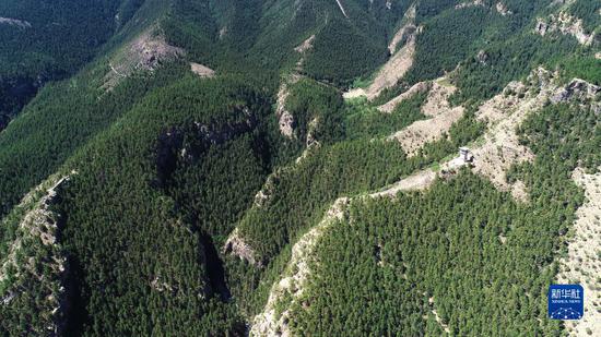 　这是绿意盎然的贺兰山苏峪口国家森林公园（无人机照片，6月14日摄）。新华社记者　王鹏　摄   