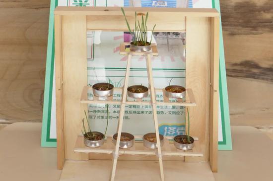 《小菜园》叶亭杉-小学高年级作品