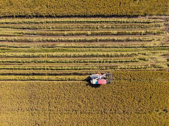 资料图，海曙入选省级特色产业（水稻）农业“机器换人”高质量发展先行县。