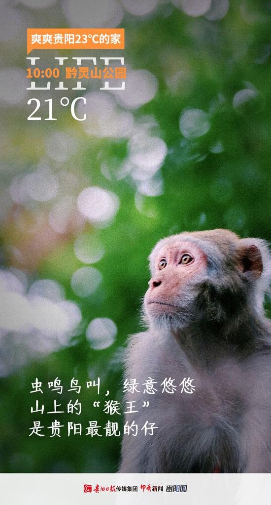 12:00&nbsp;&nbsp;24℃&nbsp;&nbsp;辣子鸡