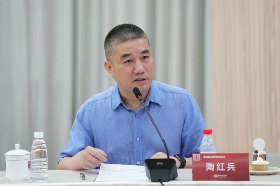 愿景集团董事长陶红兵 中新社记者 崔楠 摄