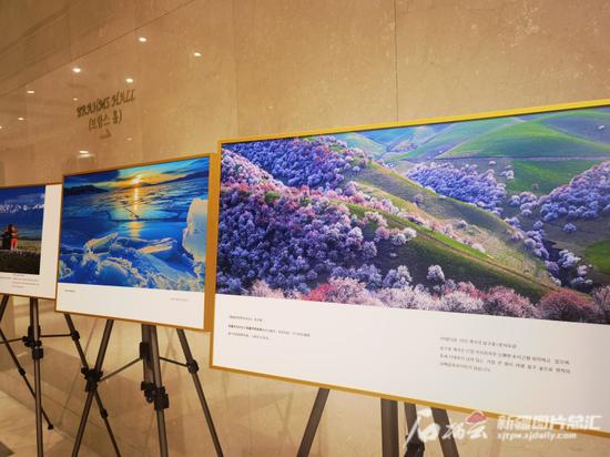 “新疆是个好地方”专题摄影作品亮相开幕式。 石榴云/新疆日报记者 银璐摄