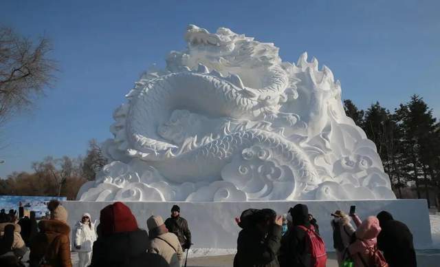 12月22日，黑龙江哈尔滨，第36届哈尔滨太阳岛雪博会迎来今冬第一批游客。
中新社
发 于琨 摄