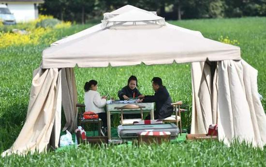 (资料图)四川成都，游客在一片麦田中间的休闲区打麻将，享受暖阳。<a target='_blank' href='/'>中新社</a>记者 张浪 摄