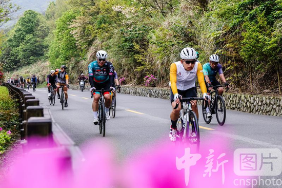 锻炼、吸氧、赏景...杭州人最费腿的季节又到了！