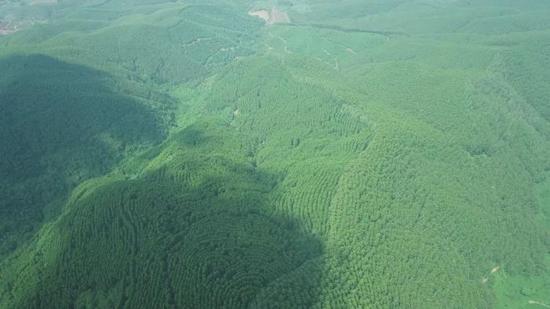 农发行在广西三十年：玉林分行扎根岭南大地 书写精彩答卷