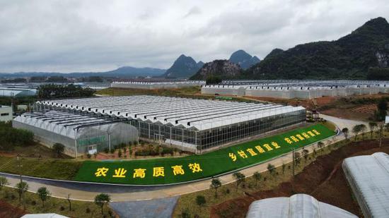 图为贺州市平桂区现代设施大棚蔬菜种植基地