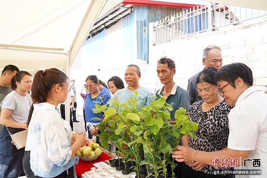 图为农民朋友分享丰收成果。卓芊余 摄