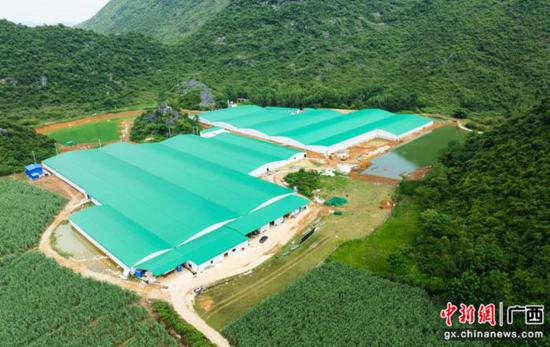 投入使用的大浪村鳗鱼养殖基地。钟国伟 摄