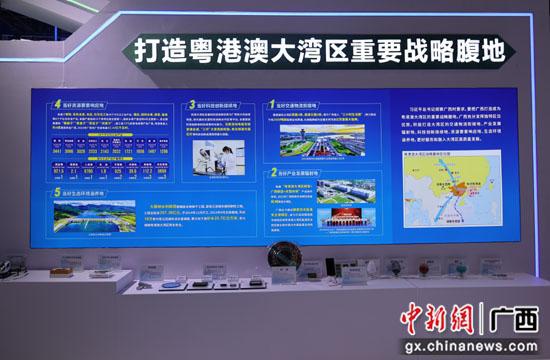图为打造粤港澳大湾区重要战略腹地展示内容。许丽颖 摄